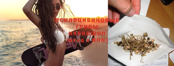 прущие грибы Алексеевка