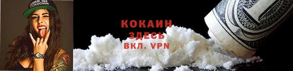 apvp Алзамай