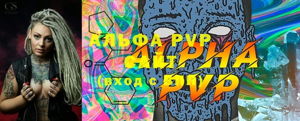apvp Алзамай